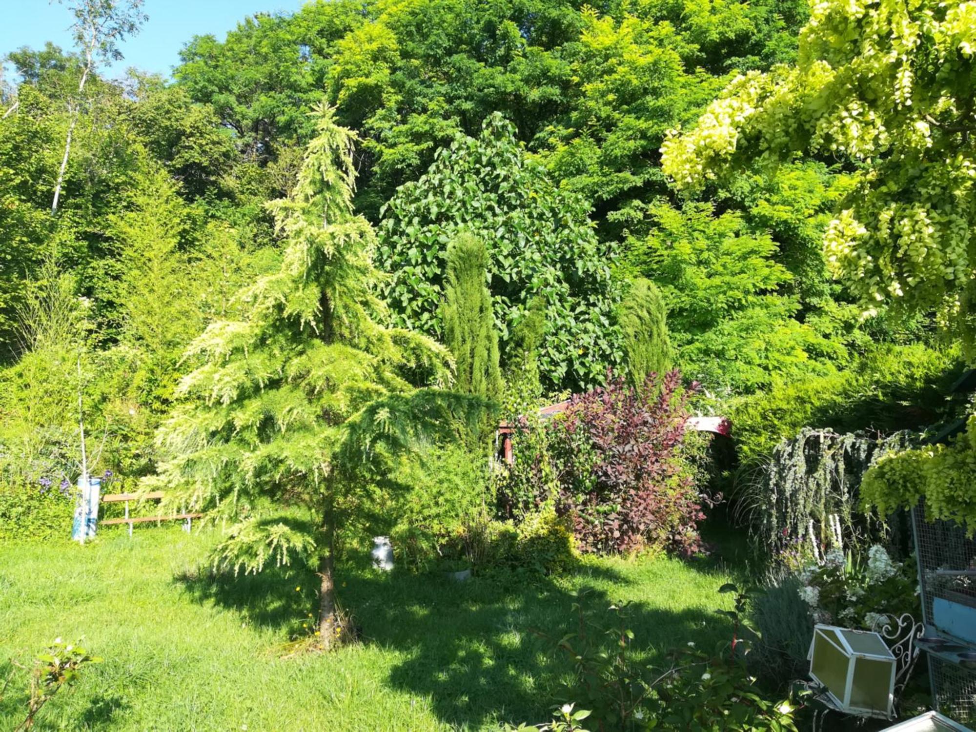 Apiculteur Loue 2 Chambres Dans Cadre Verdoyant Pagny-sur-Meuse Exterior foto
